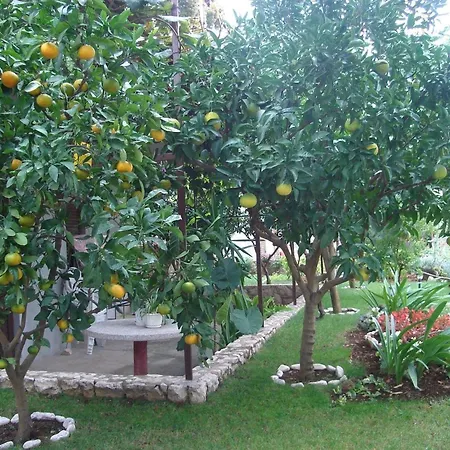 In Mit Grossem Balkon * טרוגיר