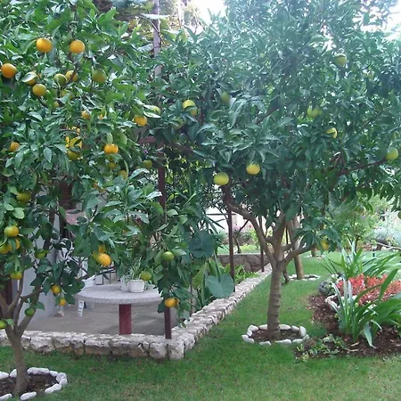 In Mit Grossem Balkon * טרוגיר